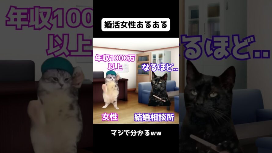 【猫ミーム】婚活女性あるある  #マッチングアプリ  #恋愛 #line